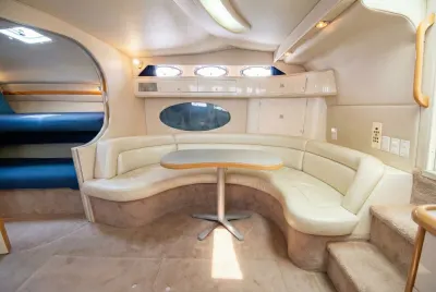 Sea Ray Express - view 6