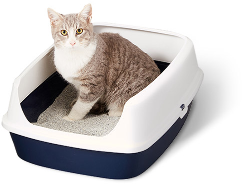 Cat litter box