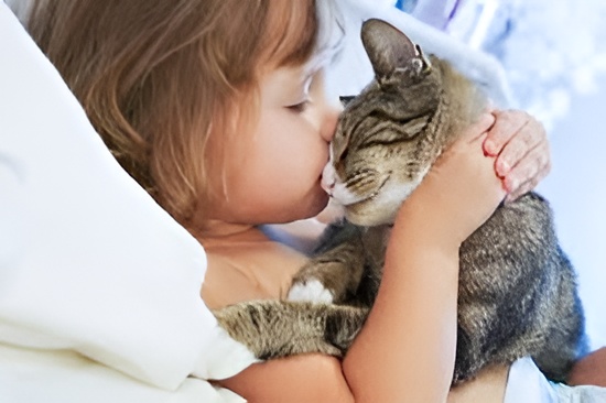 A person cuddling with a cat on a sofa