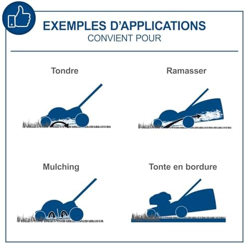 Vue 2 de Scheppach Tondeuse Gazon