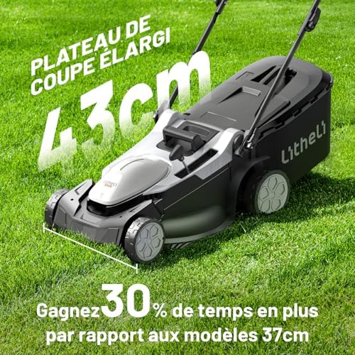 Vue 2 de Litheli Tondeuse Gazon