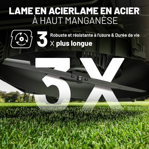 Vue 5 de Litheli Tondeuse Gazon