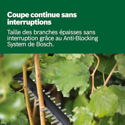 Vue 5 de Bosch Taillehaies Sans Fil