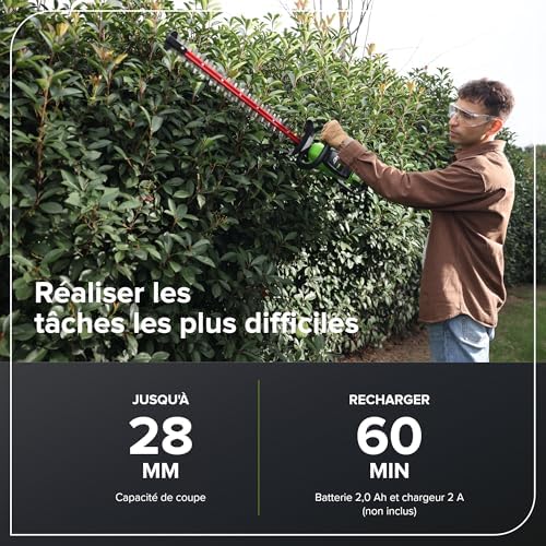 Vue 3 de Greenworks Taillehaie Sans Fil