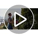 Vue 7 de Einhell Taillehaies Sans Fil