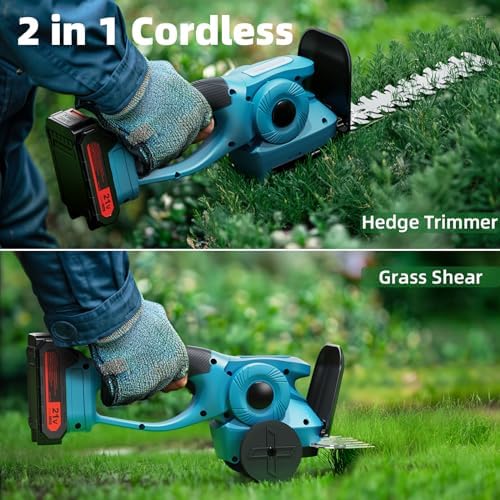 Vue 2 de Brushless Taille Haie