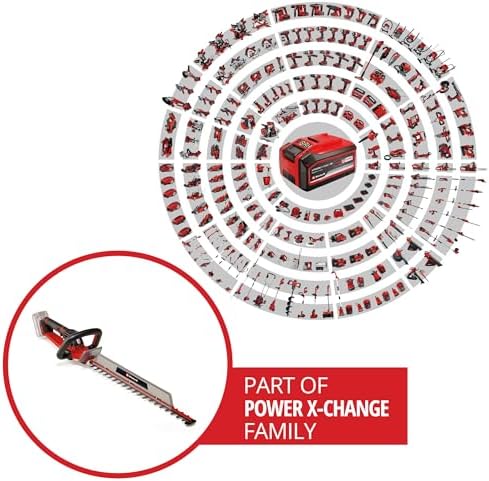 Vue 2 de Einhell Professional Taillehaie Sans