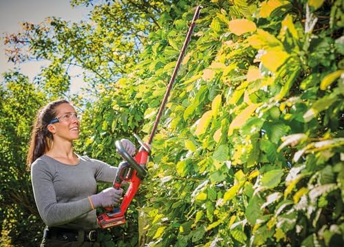Vue 4 de Einhell Professional Taillehaie Sans