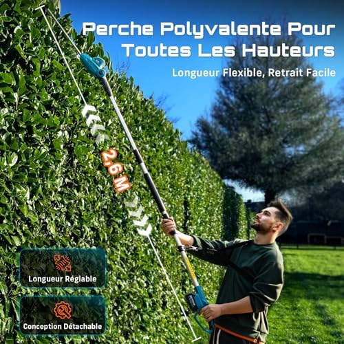 Vue 3 de Seesii Taille Haie Electrique