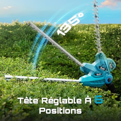 Vue 5 de Seesii Taille Haie Electrique
