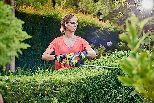 Vue 2 de Ryobi Taillehaies Electrique