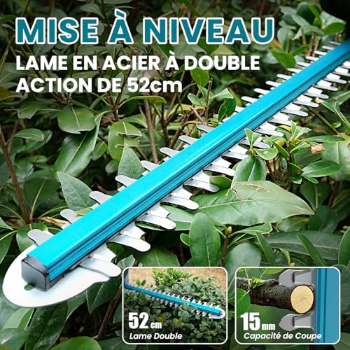 Vue 2 de Taille Haie Batterie