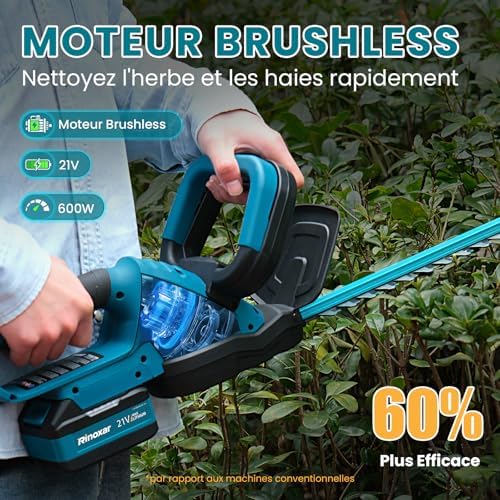 Vue 3 de Taille Haie Batterie