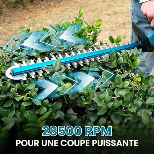 Vue 6 de Taille Haie Batterie
