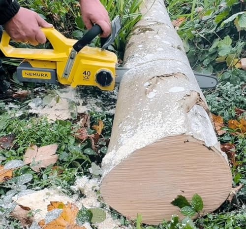 Vue 5 de Nemura Tronconneuse Sans Fil