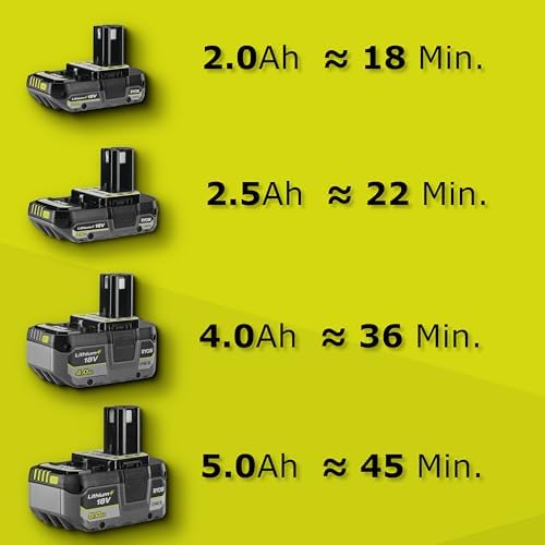 Vue 4 de Ryobi Taillehaies Sur Perche
