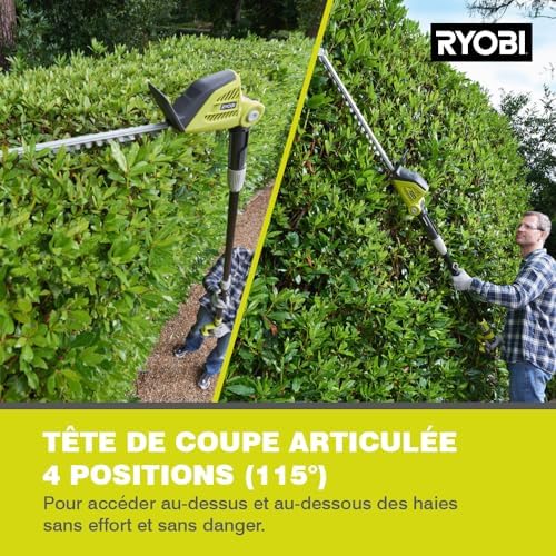 Vue 5 de Ryobi Taillehaies Sur Perche