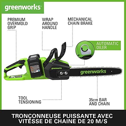 Vue 2 de Greenworks
