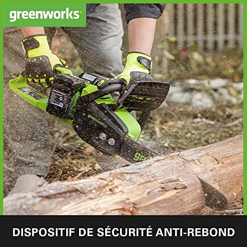 Vue 3 de Greenworks