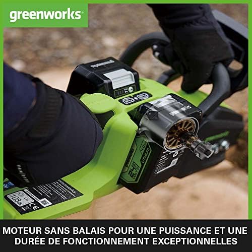 Vue 4 de Greenworks