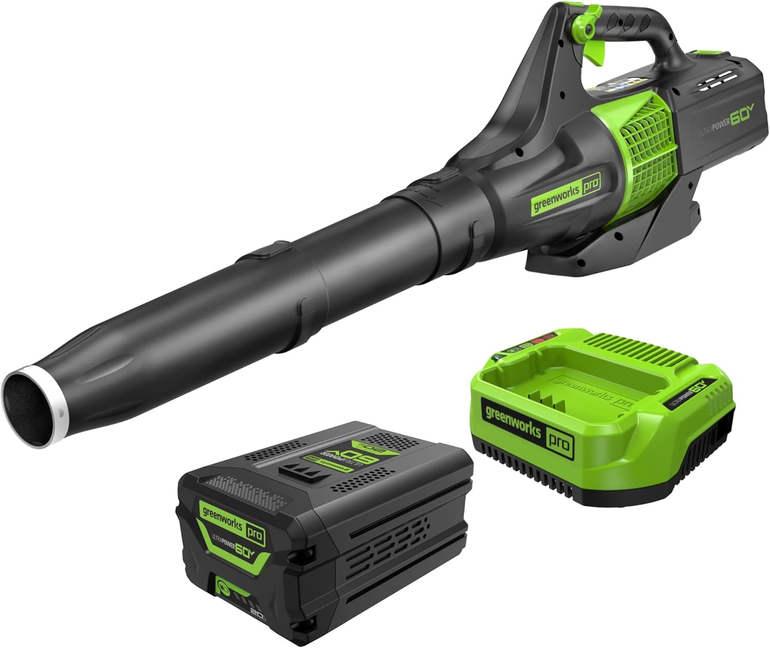 Greenworks Souffleur Feuilles