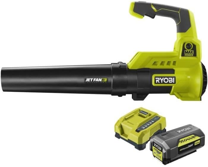 Souffleur Ryobi Max