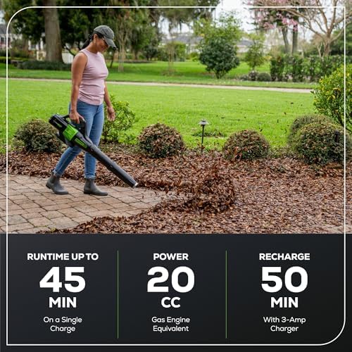Vue 3 de Greenworks Souffleur Feuilles