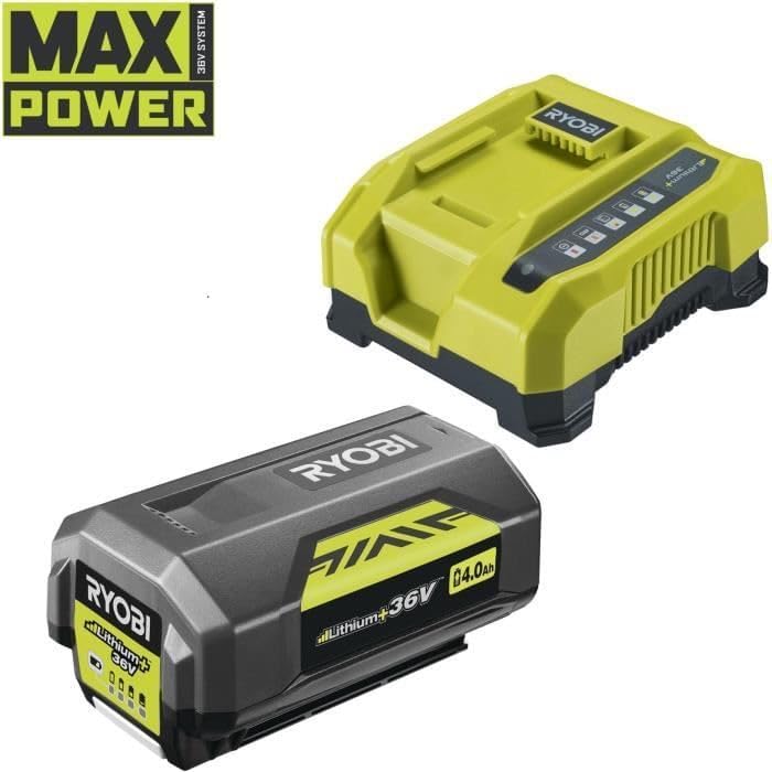 Vue 3 de Souffleur Ryobi Max