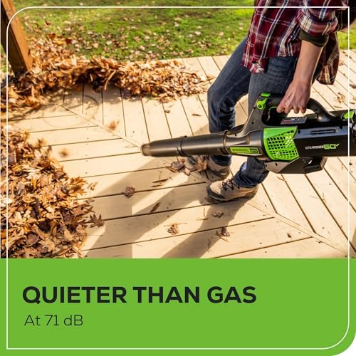 Vue 5 de Greenworks Souffleur Feuilles