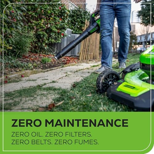 Vue 7 de Greenworks Souffleur Feuilles