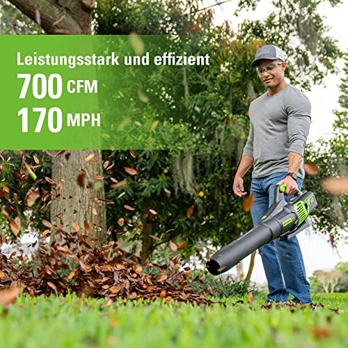 Vue 2 de Greenworks Outil Nue Pro