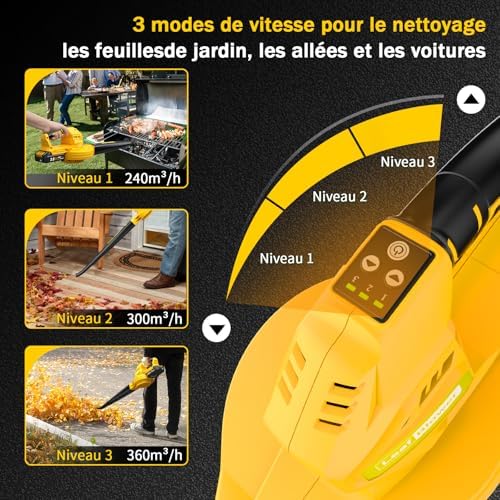Vue 3 de Souffleur De Feuillessouffleur De