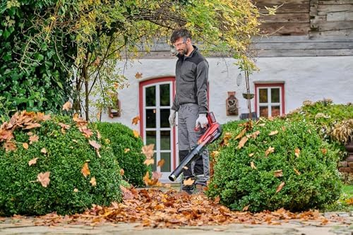 Vue 4 de Einhell Professional Souffleur De