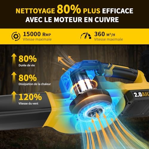 Vue 4 de Souffleur De Feuillessouffleur De