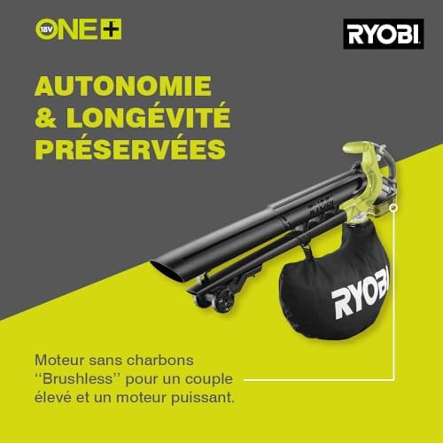Vue 2 de Ryobi Aspirateur Souffleur Broyeur