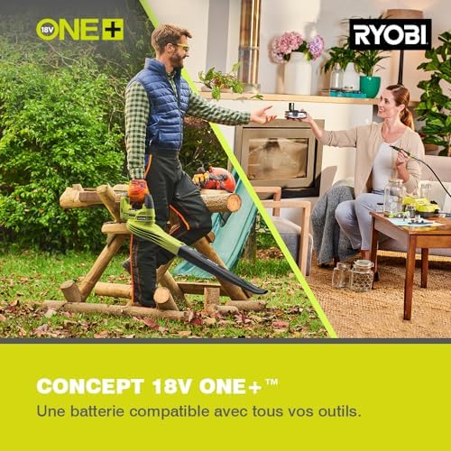 Vue 4 de Ryobi Aspirateur Souffleur Broyeur