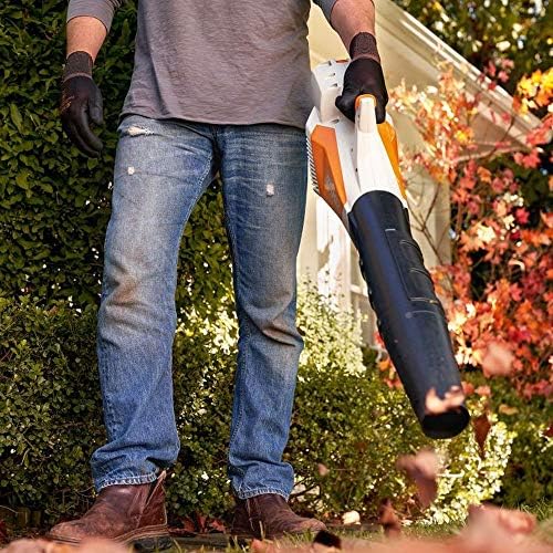Vue 5 de Stihl Bga Souffleur De