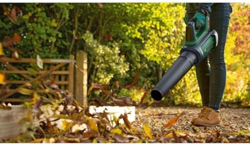 Vue 4 de Bosch Souffleur De Feuilles
