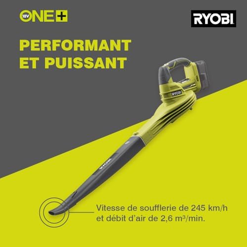 Vue 2 de Ryobi Souffleur Sans Fil