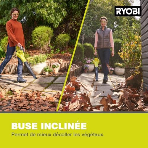Vue 6 de Ryobi Souffleur Sans Fil