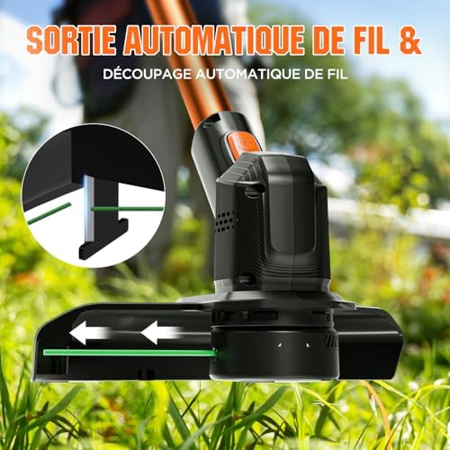 Vue 5 de Litheli Coupebordures Batterie