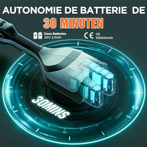 Vue 6 de Litheli Coupebordures Batterie