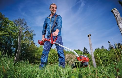 Vue 4 de Einhell Professional Coupebordures Sans