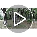 Vue 7 de Echelle Telescopique Extensible De