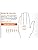 Vue 3 de Rostaing Gants De Jardinage