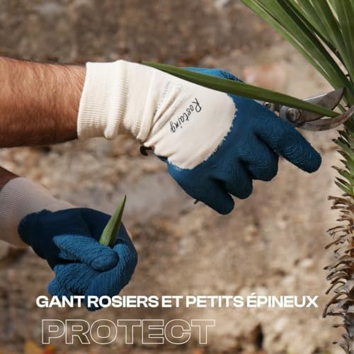 Vue 4 de Rostaing Gants Protect Paire