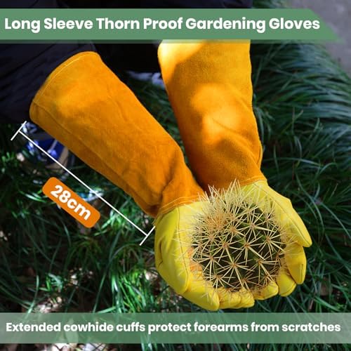 Vue 2 de Velway Gants De Travail