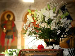 Новые инициативы по улучшению городской инфраструктуры