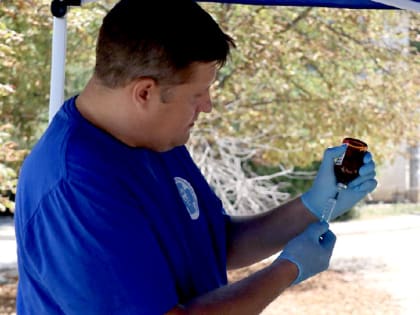 Ветеринары Севастополя на этой неделе будут загружены работой