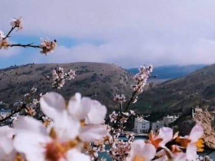 Как похолодание в Крыму повлияет на урожай плодовых и зерновых